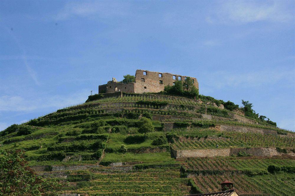 Gaestehaus Goethe Staufen im Breisgau Ngoại thất bức ảnh