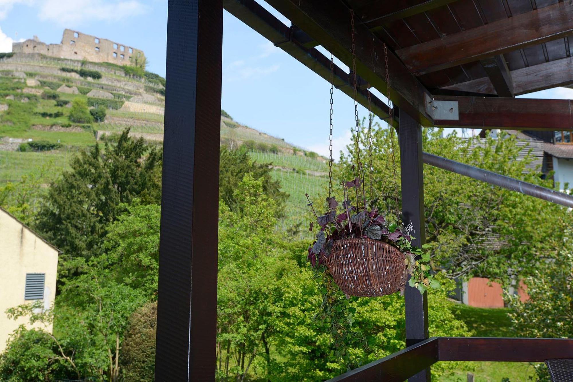 Gaestehaus Goethe Staufen im Breisgau Ngoại thất bức ảnh