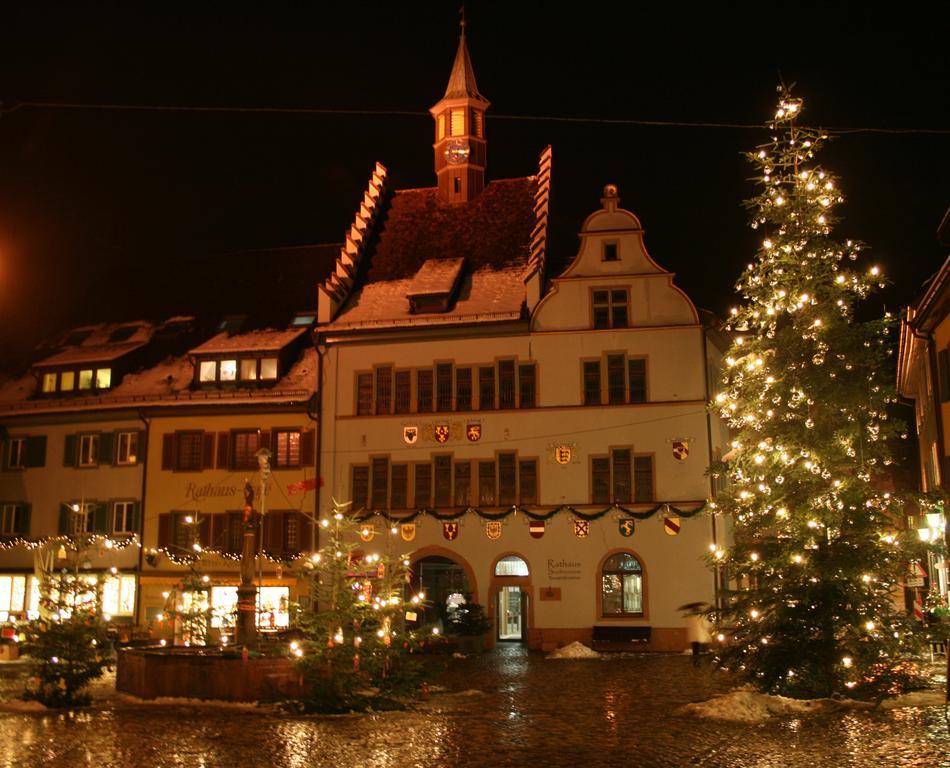 Gaestehaus Goethe Staufen im Breisgau Ngoại thất bức ảnh