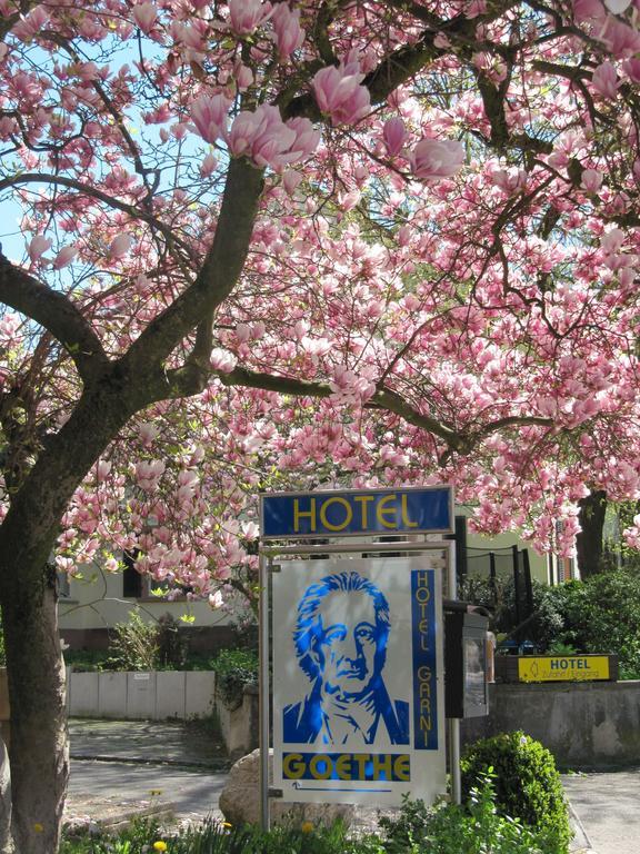 Gaestehaus Goethe Staufen im Breisgau Ngoại thất bức ảnh
